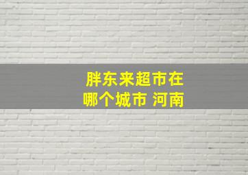 胖东来超市在哪个城市 河南